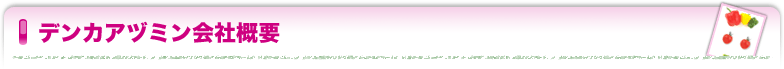 デンカアヅミン会社概要
