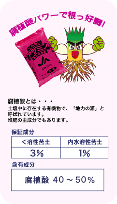 腐植酸パワーで根っ好調！　腐植酸とは・・・土壌中に存在する有機物で、「地力の源」と呼ばれています。堆肥の主成分でもあります。