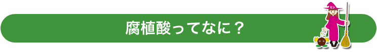 腐植ってなに？