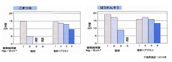 塩化アンモニアを多量に施用した事例