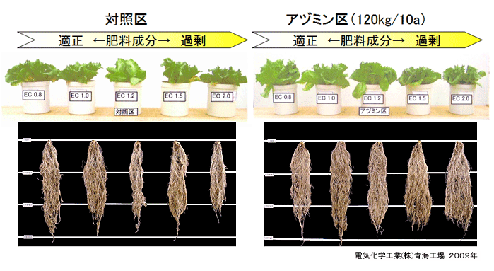 硫酸カリウムを多量に施用した事例