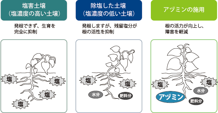 生育状況